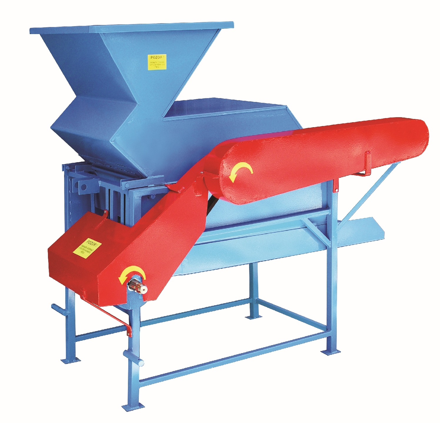 Runjilica obična standard