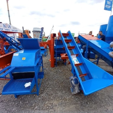 Runjilica obična standard