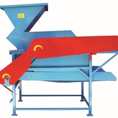 Runjilica obična standard