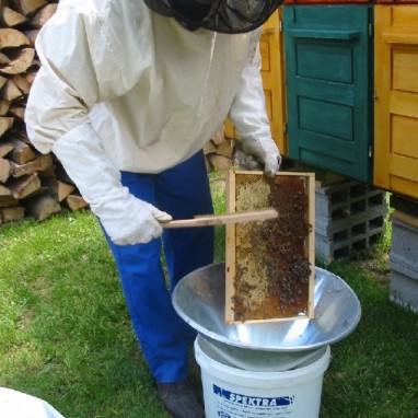 Med i pčelarstvo